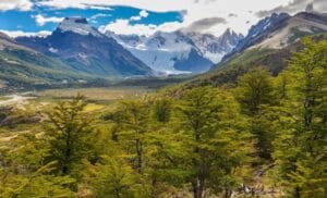 el chalten - floresta na patagônia