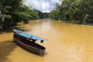 amazônia - rio e selva