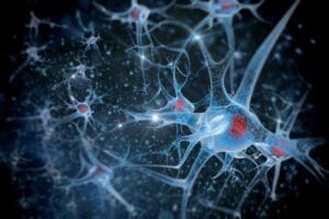 neurotransmissores ativos no cérebro
