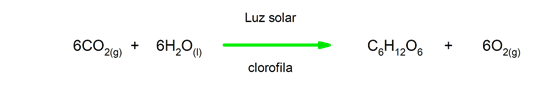 fen&ocirc;menos qu&iacute;micos