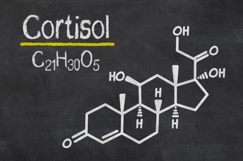 hormônio cortisol