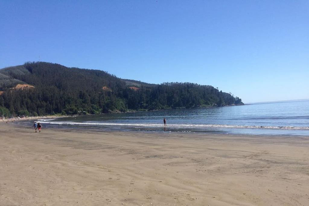 Praia de Colcura, Lota