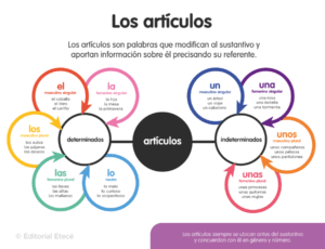 50 exemplos de frases com artigos